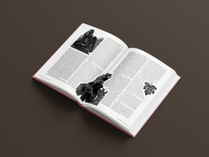 PUBLICATION: SONJA YAKOVLEVA, Soaplands, 2024